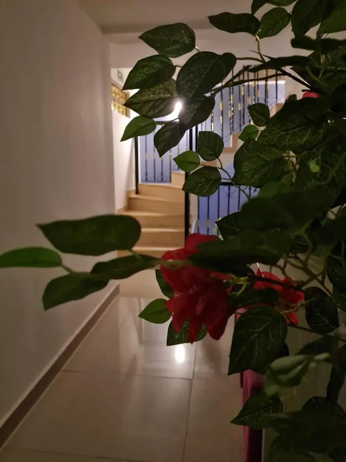 Hotel Carolina Del Mar Santa Marta